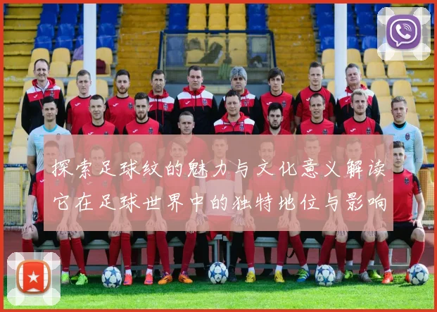 探索足球纹的魅力与文化意义解读它在足球世界中的独特地位与影响力
