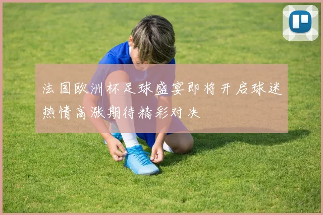 法国欧洲杯足球盛宴即将开启球迷热情高涨期待精彩对决